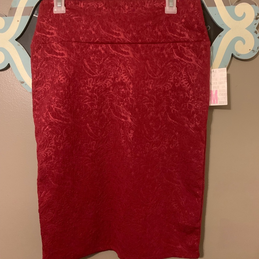 Lularoe Cassie skirt!